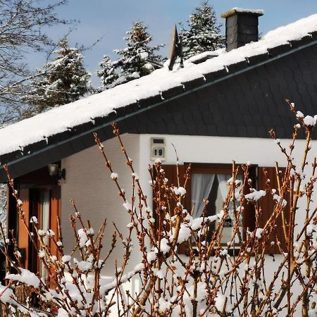 Beuren  Bb19 Eifel-Ferienhaus Am Moseltal Mit Saunahaus מראה חיצוני תמונה
